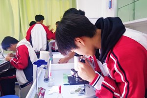 实验课