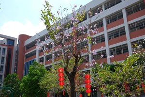教学楼