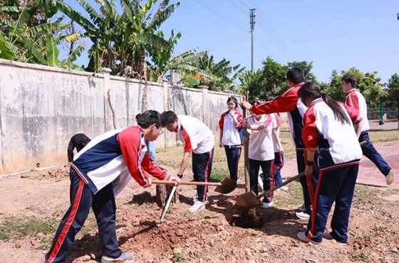 当学习雷锋活动月遇上植树节：以志愿之名，种绿色希望